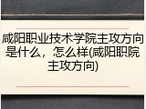 咸阳职业技术学院主攻方向是什么，怎么样(咸阳职院主攻方向)