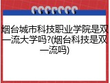烟台城市科技职业学院是双一流大学吗?(烟台科技是双一流吗)