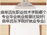 曲阜远东职业技术学院哪个专业毕业就业前景比较好(曲阜远东学院好就业专业)