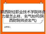 陕西财经职业技术学院师资力量怎么样，名气如何(陕西财院师资名气)