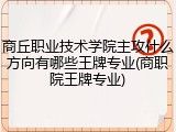 商丘职业技术学院主攻什么方向有哪些王牌专业(商职院王牌专业)