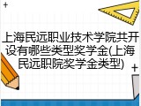 上海民远职业技术学院共开设有哪些类型奖学金(上海民远职院奖学金类型)