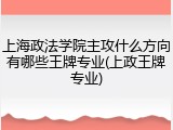 上海政法学院主攻什么方向有哪些王牌专业(上政王牌专业)