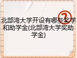 北部湾大学开设有哪些奖学和助学金(北部湾大学奖助学金)