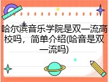 哈尔滨音乐学院是双一流高校吗，简单介绍(哈音是双一流吗)