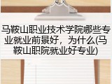 马鞍山职业技术学院哪些专业就业前景好，为什么(马鞍山职院就业好专业)