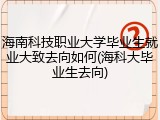 海南科技职业大学毕业生就业大致去向如何(海科大毕业生去向)