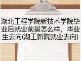湖北工程学院新技术学院毕业后就业前景怎么样，毕业生去向(湖工新院就业去向)