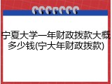 宁夏大学一年财政拨款大概多少钱(宁大年财政拨款)