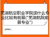 芜湖航空职业学院读什么专业比较有前景("芜湖航院前景专业")