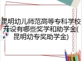 昆明幼儿师范高等专科学校开设有哪些奖学和助学金(昆明幼专奖助学金)