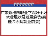 广东碧桂园职业学院好不好，就业现状及发展趋势(碧桂园职院就业前景)