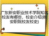 广东新安职业技术学院知名校友有哪些，校史介绍(新安职院校友校史)