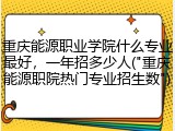 重庆能源职业学院什么专业最好，一年招多少人("重庆能源职院热门专业招生数")