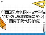 广西国际商务职业技术学院的院校代码和邮编是多少(广西商职院代码邮编)