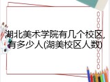 湖北美术学院有几个校区,有多少人(湖美校区人数)
