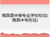 南昌县中等专业学校校花(南昌中专校花)