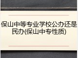 保山中等专业学校公办还是民办(保山中专性质)