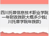 四川托普信息技术职业学院一年财政拨款大概多少钱(川托普学院年拨款)