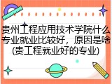 贵州工程应用技术学院什么专业就业比较好，原因是啥(贵工程就业好的专业)