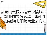 湖南电气职业技术学院毕业后就业前景怎么样，毕业生去向(湖电职院就业去向)