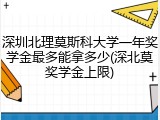 深圳北理莫斯科大学一年奖学金最多能拿多少(深北莫奖学金上限)