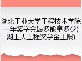 湖北工业大学工程技术学院一年奖学金最多能拿多少(湖工大工程奖学金上限)