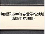 鲁能职业中等专业学校地址(鲁能中专地址)