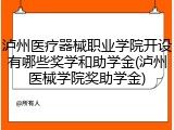 泸州医疗器械职业学院开设有哪些奖学和助学金(泸州医械学院奖助学金)