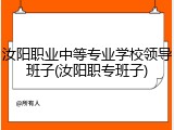 汝阳职业中等专业学校领导班子(汝阳职专班子)
