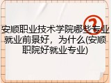 安顺职业技术学院哪些专业就业前景好，为什么(安顺职院好就业专业)