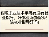 铜陵职业技术学院有没有就业指导，好就业吗(铜陵职院就业指导好吗)