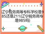 辽宁税务高等专科学校是985还是211(辽宁税务高专是985吗)