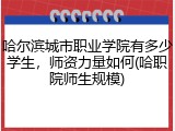 哈尔滨城市职业学院有多少学生，师资力量如何(哈职院师生规模)