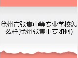 徐州市张集中等专业学校怎么样(徐州张集中专如何)