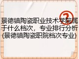 景德镇陶瓷职业技术学院属于什么档次，专业排行分析(景德镇陶瓷职院档次专业)