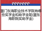 厦门东海职业技术学院有哪些奖学金和助学金呢(厦东海职院奖助学金)