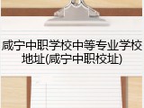 咸宁中职学校中等专业学校地址(咸宁中职校址)