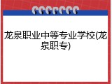 龙泉职业中等专业学校(龙泉职专)