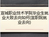 宣城职业技术学院毕业生就业大致去向如何(宣职院就业去向)