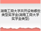 湖南工商大学共开设有哪些类型奖学金(湖南工商大学奖学金类型)