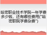 哈密职业技术学院一年学费多少钱，还有哪些费用("哈密职院学费杂费")