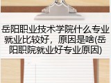 岳阳职业技术学院什么专业就业比较好，原因是啥(岳阳职院就业好专业原因)