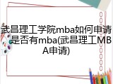 武昌理工学院mba如何申请，是否有mba(武昌理工MBA申请)