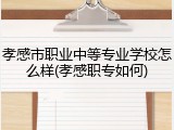 孝感市职业中等专业学校怎么样(孝感职专如何)