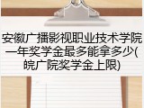 安徽广播影视职业技术学院一年奖学金最多能拿多少(皖广院奖学金上限)