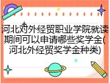 河北对外经贸职业学院就读期间可以申请哪些奖学金(河北外经贸奖学金种类)