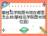 攀枝花学院图书馆在哪里，怎么样(攀枝花学院图书馆位置)