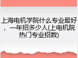 上海电机学院什么专业最好，一年招多少人(上电机院热门专业招数)