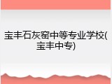 宝丰石灰窑中等专业学校(宝丰中专)